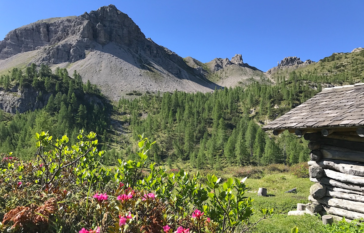 CAMPUROS TRUOI DAI SCLOPS