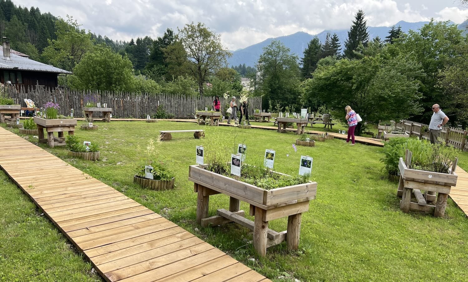 Orto botanico didattico forni di sopra