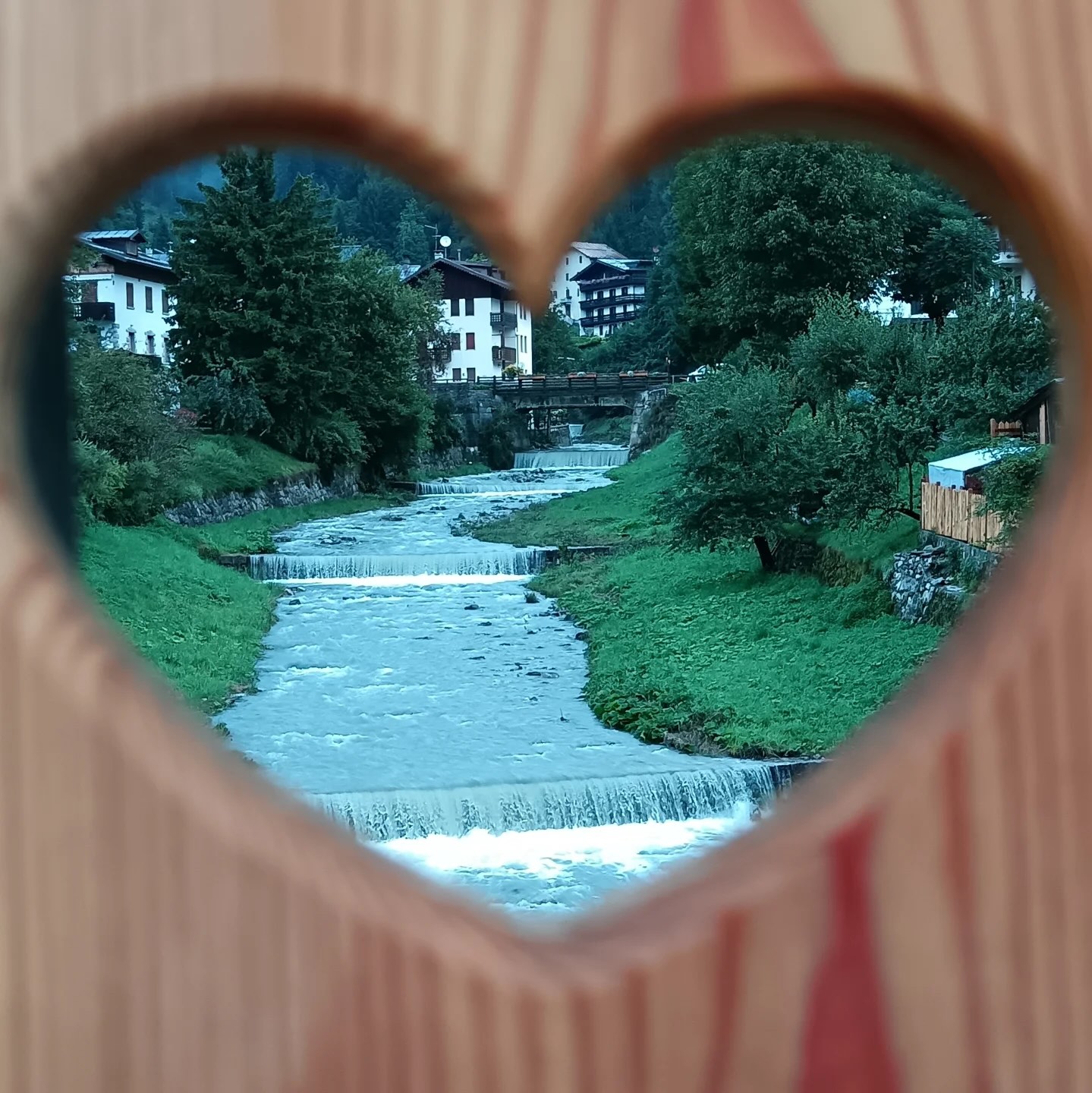 concorso foto fornidisopra 2025 1 classifica like