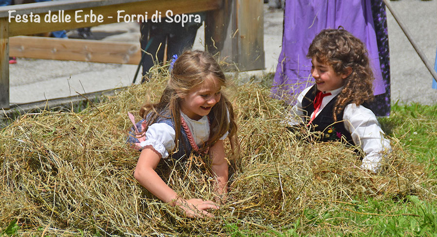 festa delle erbe Forni di Sopra festa delle erbe Forni di Sopra