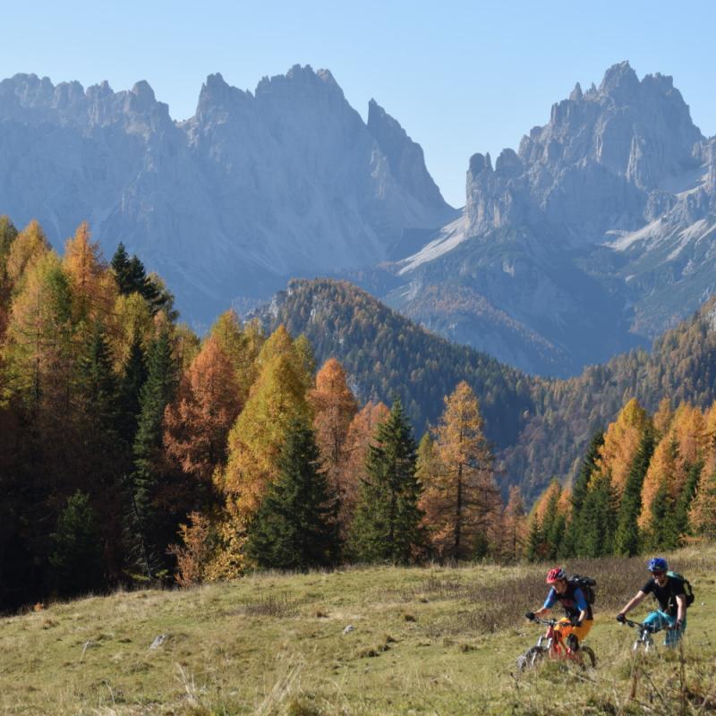 Forni Di Sopra Dolomiti Summer 275