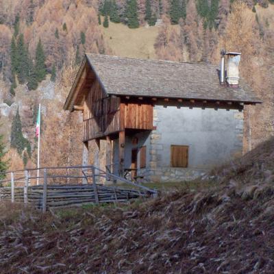 Forni Di Sopra Dolomiti 255