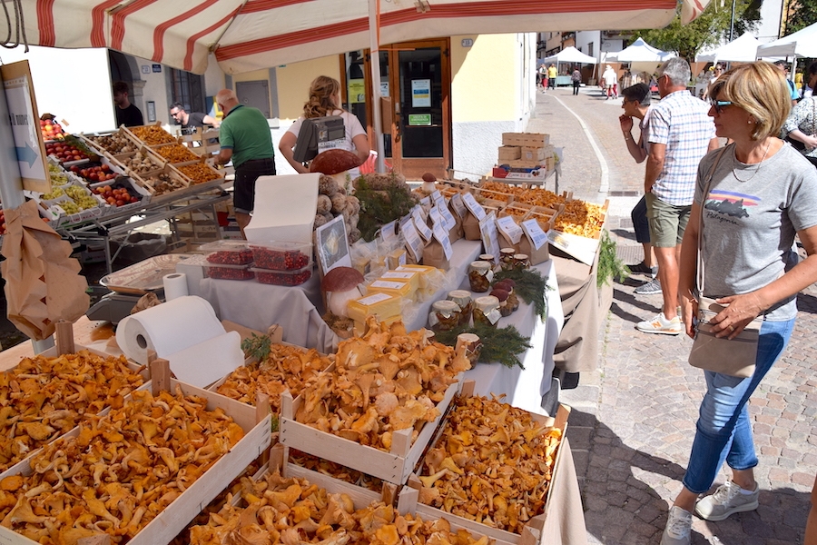 VACANZA "FESTA DEI FUNGHI"
